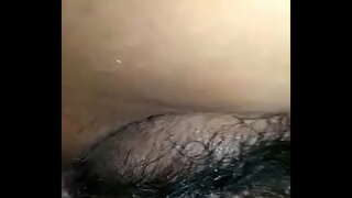 морено qr6 касад сафадинья